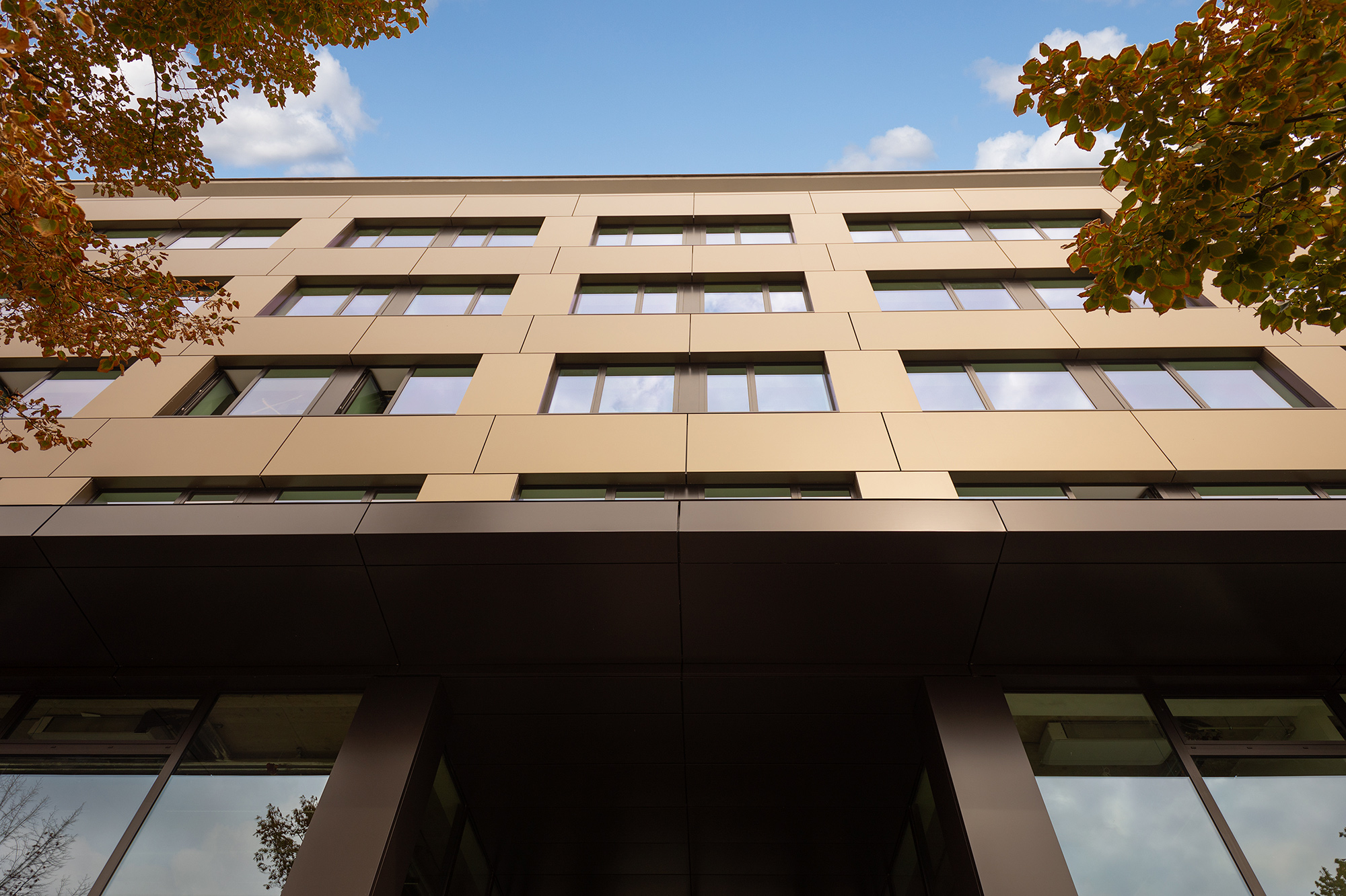 <p><strong>KOMFORTNÍ KANCELÁŘE</strong><br />
prostor pro Váš rozvoj</p>
